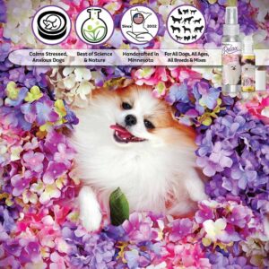 The Blissful Dog Pomeranian Relax Dog Aromatherapy Spray for Your Dog's Anxiety