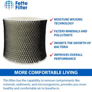 Fette Filter - Humidifier Wicking Filter Compatible with Holmes HWF65, HWF65PDQ-U - Filter C. (Pack of 2)