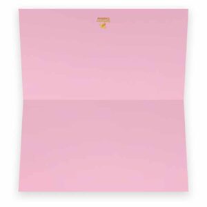 Light Pink Place Cards - Flat or Tent Style - 10 or 50 Pack - White Blank Front Solid Color Border Placement Table Name Dinner Seat Stationery Party Supplies Occasion Event Holiday (10, Tent Style)