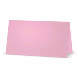 Light Pink Place Cards - Flat or Tent Style - 10 or 50 Pack - White Blank Front Solid Color Border Placement Table Name Dinner Seat Stationery Party Supplies Occasion Event Holiday (10, Tent Style)