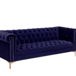 Iconic Home Gold/Navy Bea Velvet with Nail head Trim Tone Metal Sofa