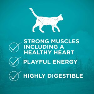 Purina ONE Natural, High Protein, Grain Free Dry Cat Food, True Instinct With Real Chicken - 6.3 Lb. Bag