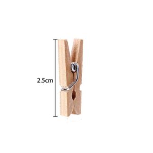 GCA DIY Wooden Pins for Scrapbooking Wood Crafts, Mini Clothespins 100 Per Pack 1"