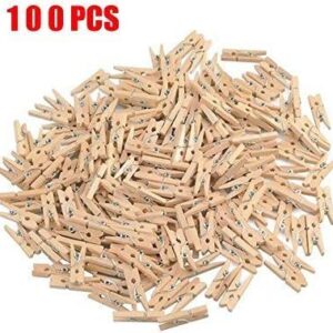 GCA DIY Wooden Pins for Scrapbooking Wood Crafts, Mini Clothespins 100 Per Pack 1"