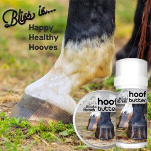 The Blissful Horses Hoof Butter All Natural Support for Your Horse's Hooves