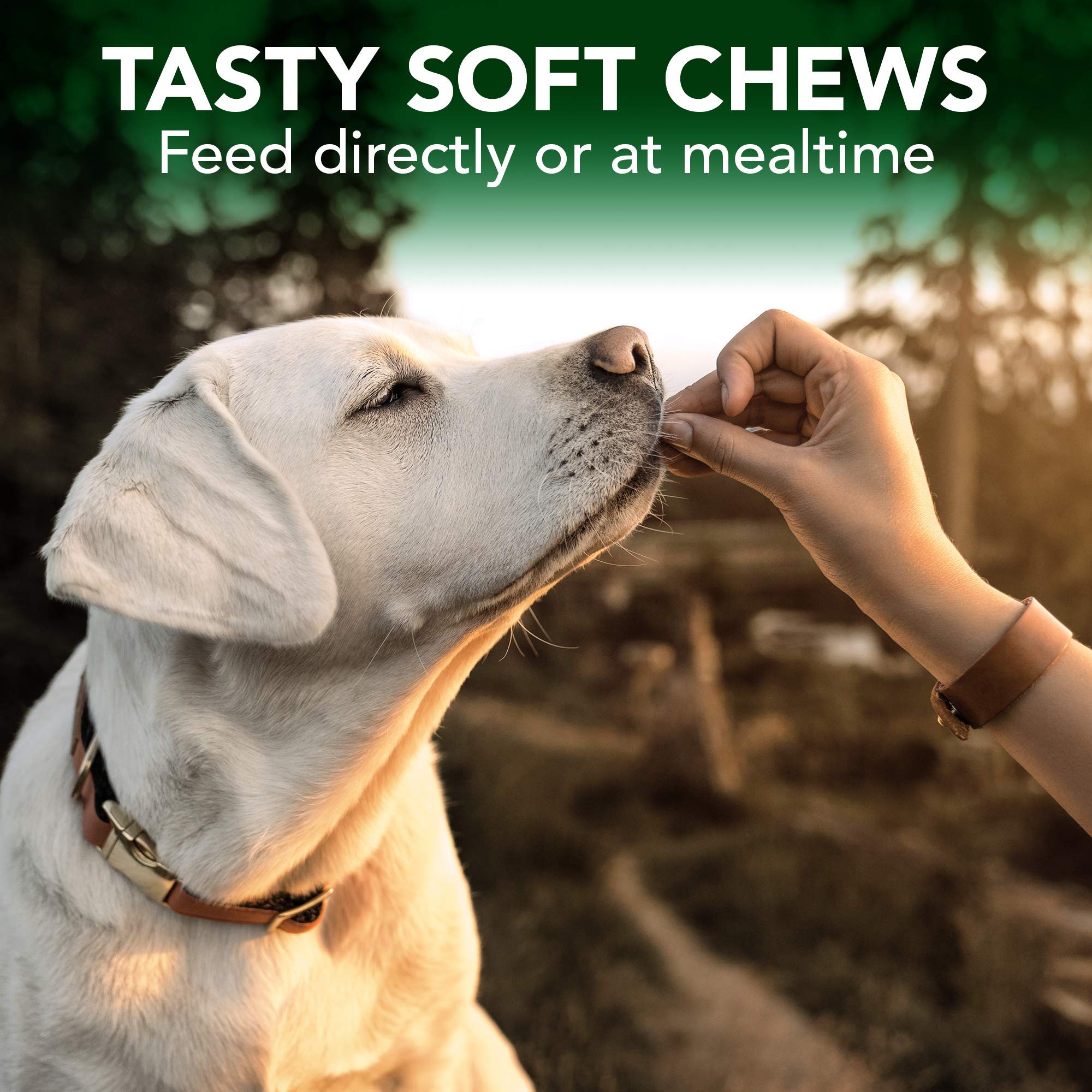 Vet's Best Seasonal Allergy Soft Chew Dog Supplements | Soothes Dogs Skin Irritation Due to Seasonal Allergies | Maintain Histamine Levels | 50 Chewable Tablets, 30 Count (Pack of 2)