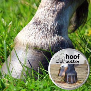 The Blissful Horses Hoof Butter All Natural Support for Your Horse's Hooves