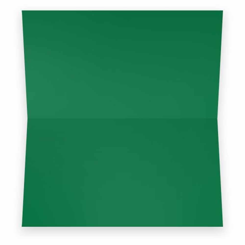 Football on Green Place Cards - TENT STYLE - 10 PACK - White Blank Front Solid Color Border - Placement Table Name Seating Stationery Party Supplies - Occasion Dinner Event