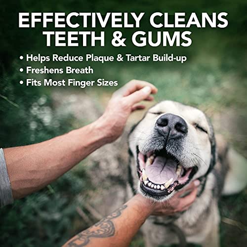 Vets Best Dental Care Finger Wipes | Reduces Plaque & Freshens Breath | Teeth Cleaning Finger Wipes for Dogs & Cats | 50 Disposable Wipes