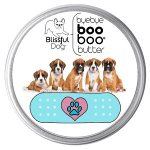 the blissful dog 1 oz tin boxer booboo butter