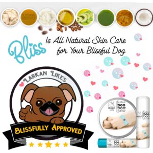 The Blissful Dog 1 oz TIN Boxer Booboo Butter