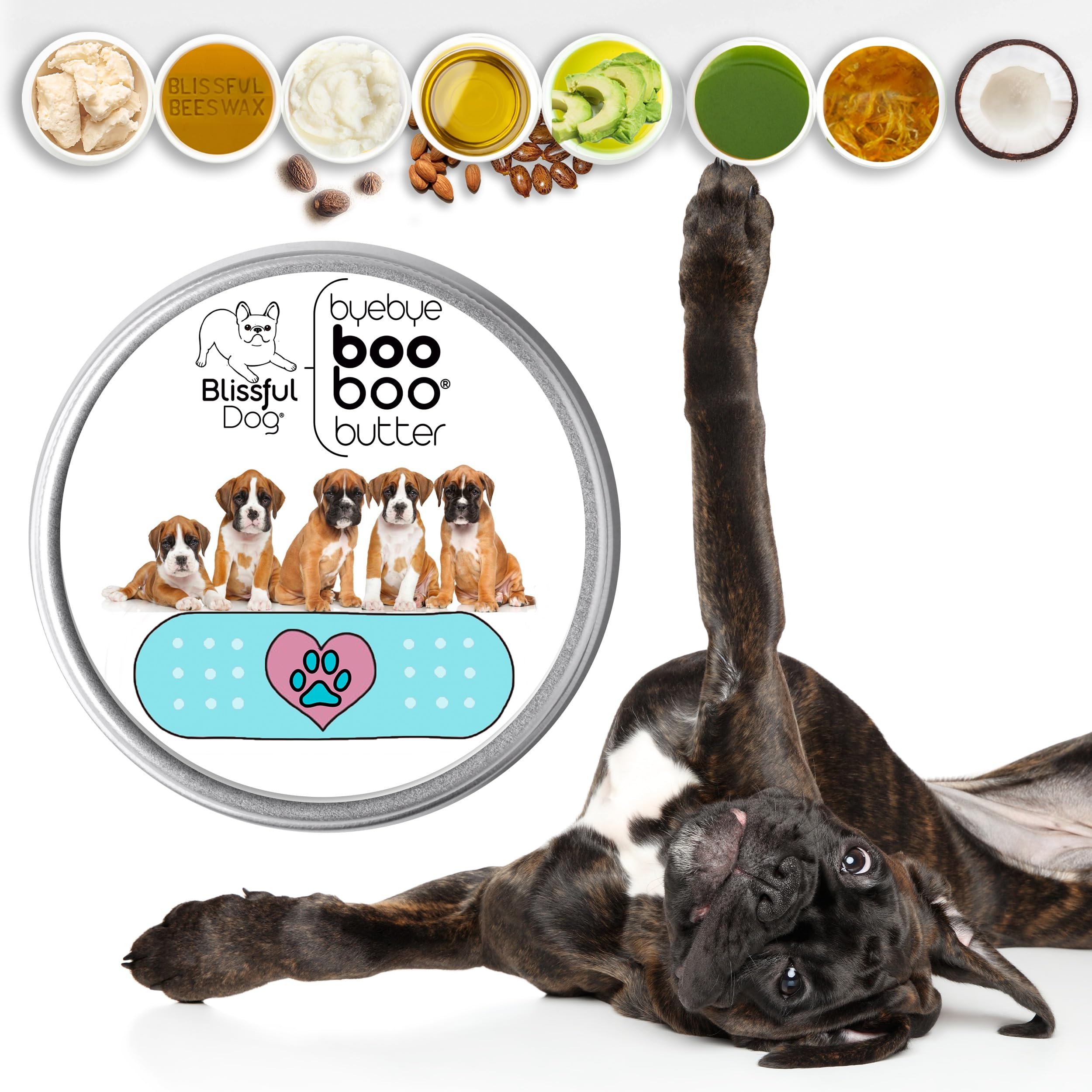 The Blissful Dog 1 oz TIN Boxer Booboo Butter