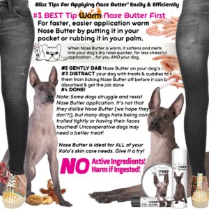 The Blissful Dog Xoloitzcuintli Nose Butter, Versatile Dog Nose Balm for Dry Nose, Handcrafted Nose Moisturizer, Easy-to-Apply Dog Essentials, Unscented, 0.15 oz.