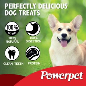 Powerpet 100% All Natural Beef Jerky Chips (6 Count) Treats