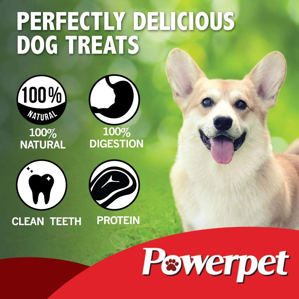 Powerpet 100% All Natural Beef Jerky Chips (6 Count) Treats