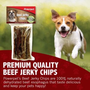 Powerpet 100% All Natural Beef Jerky Chips (6 Count) Treats