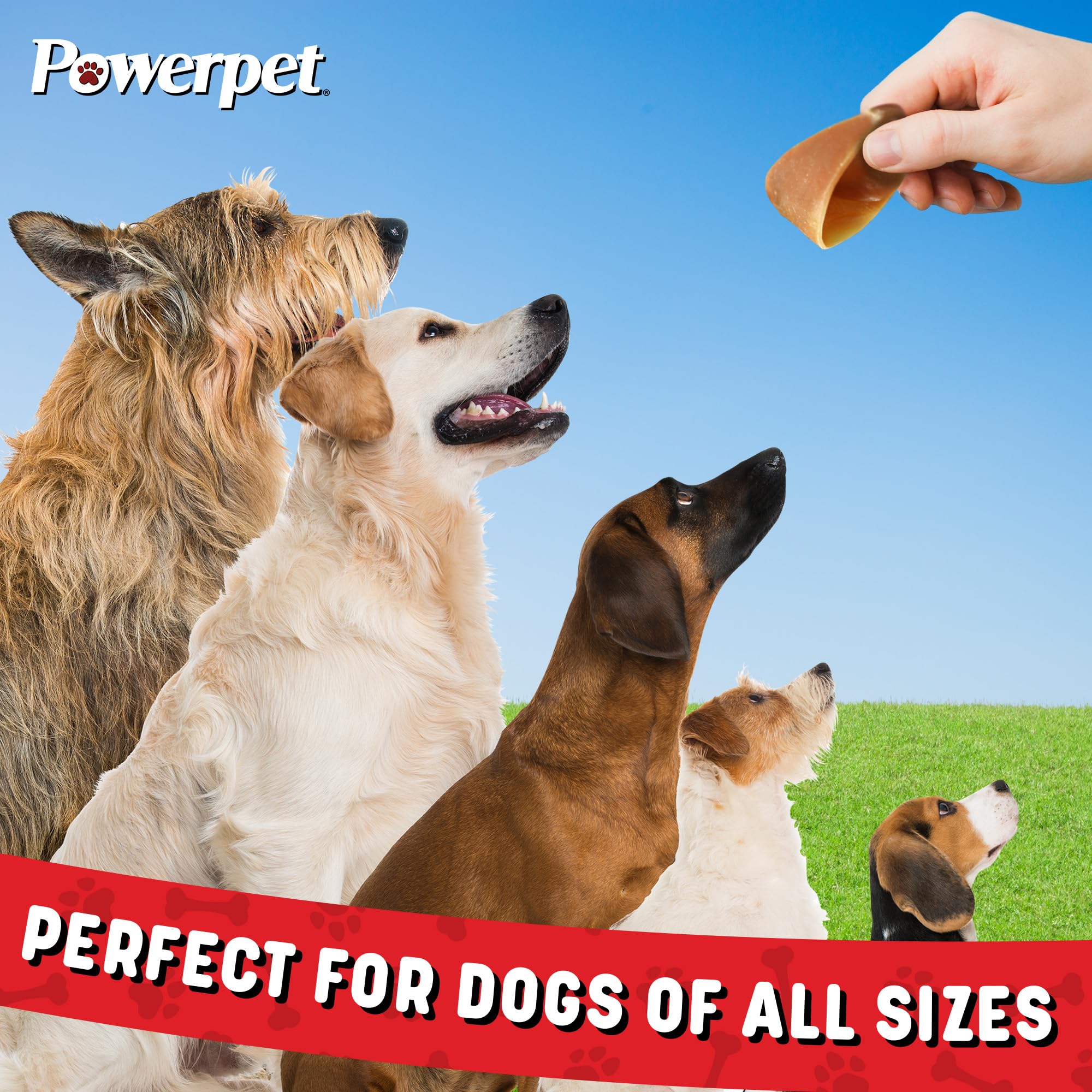 Powerpet 100% Natural Cow Hooves for Dogs – Durable Chews & Dental Treats for All Dog Breeds & Sizes, Helps Reduce Tartar & Boredom, Large Hoofs for Chewing, Supports Clean Teeth & Gums, 5 Pack