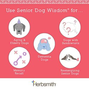 Herbsmith Senior Dog Wisdom – Dog Dementia Supplement – DHA for Senior Dog Brain Health - Senior Supplement for Dogs- 60ct Small Chews