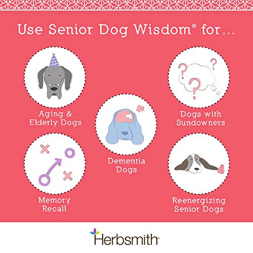 Herbsmith Senior Dog Wisdom – Dog Dementia Supplement – DHA for Senior Dog Brain Health - Senior Supplement for Dogs- 60ct Small Chews