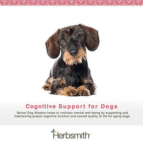 Herbsmith Senior Dog Wisdom – Dog Dementia Supplement – DHA for Senior Dog Brain Health - Senior Supplement for Dogs- 60ct Small Chews