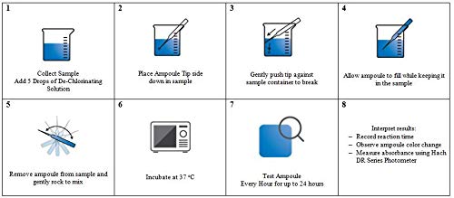 AMT Rapid Bacteria Test for Total Viable Bacteria, (7ML, Pack of 30)