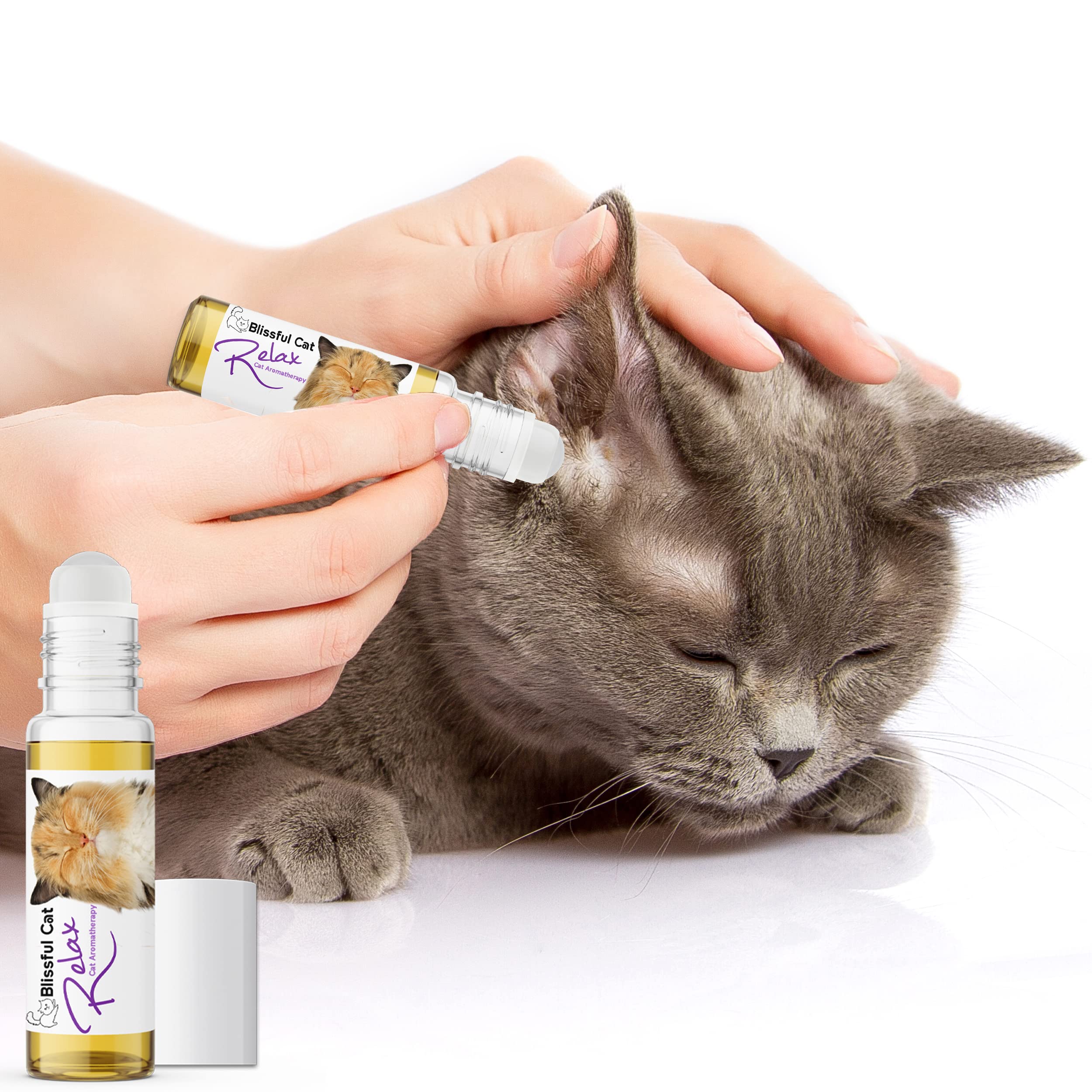 The Blissful Cat Relax Aromatherapy Roll On for Your Cat's Anxiety, 0.45-Ounce