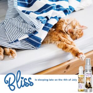 The Blissful Cat Relax Aromatherapy Roll On for Your Cat's Anxiety, 0.45-Ounce