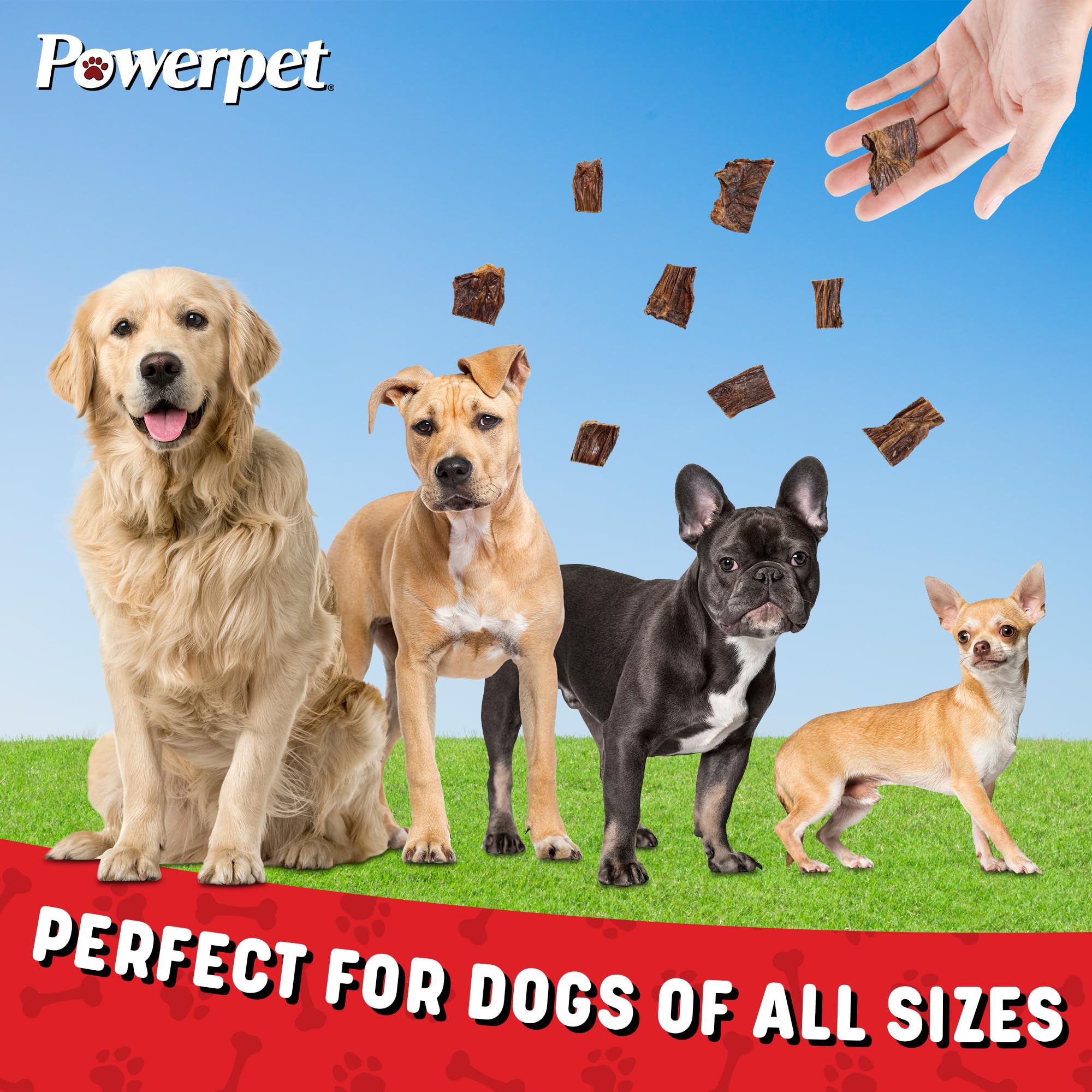 Powerpet Taffy Bites - Low Fat Premium Beef Jerky Treat, 100% Natural Beef Esophagus Dog Chew, Highly Digestible, Clean & Healthy Pet Snack, No Additives, High Protein, Improves Dental Hygiene, 8oz