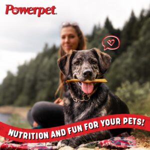 Powerpet Treats Natural Smoked Beef Jerky Skin for Dogs - Premium High Protein, Grain-Free, Rawhide-Free, Long-Lasting Chews, Ideal for All Breeds, Promotes Dental Health - Easy Digestion - 8oz Bag