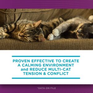 Comfort Zone Basic Multicat Refills for Cat Calming (2 Pack)